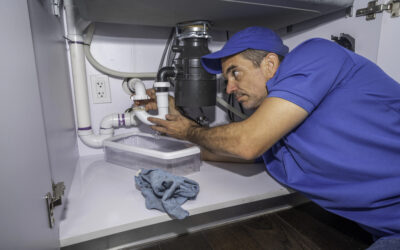 Garbage Disposal Replacement